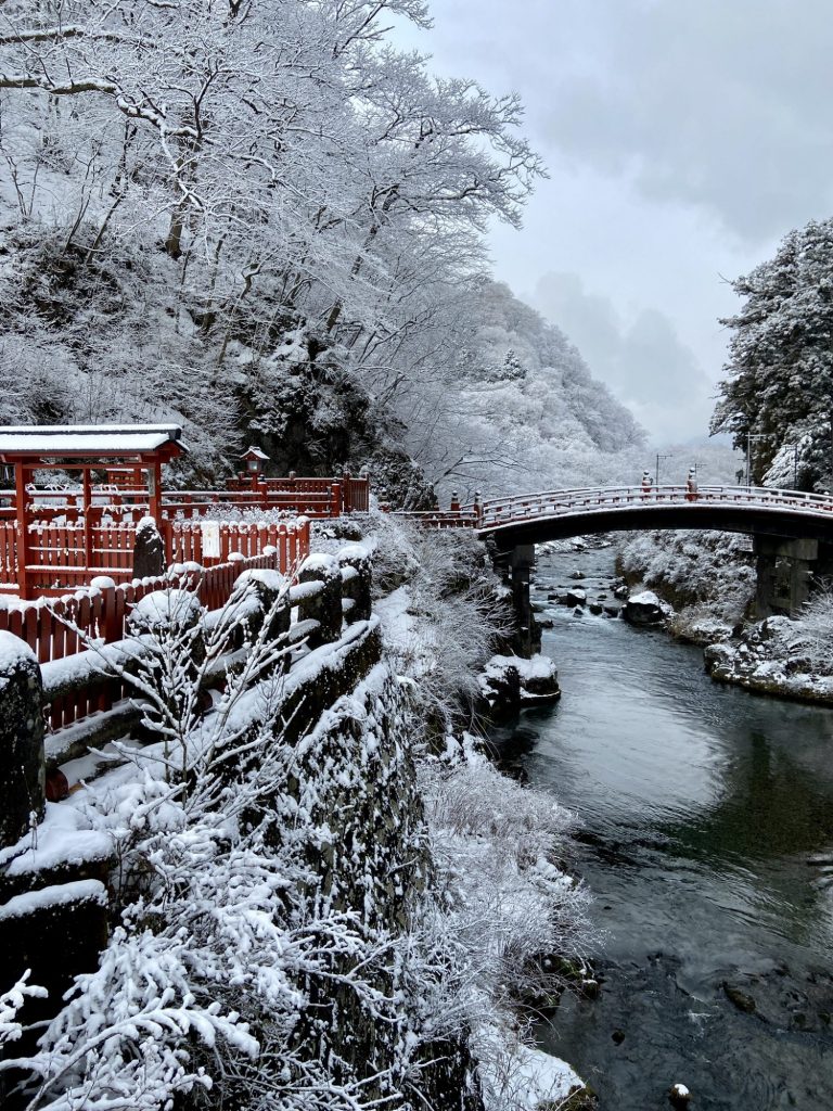 どうしても　徳川将軍　着座の間　特別祈祷に伺いたくて メインイメージ画像