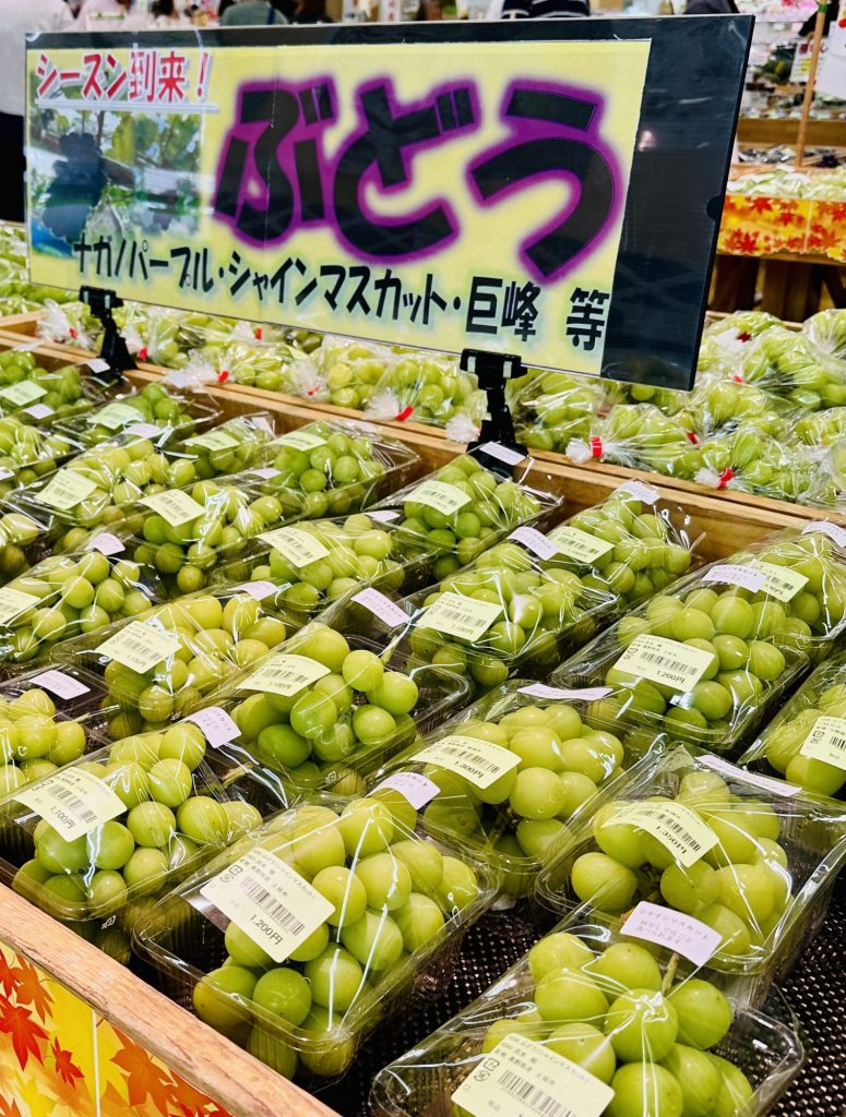 マルシェ 国分　新鮮野菜　果物の発信地‼️ メインイメージ画像