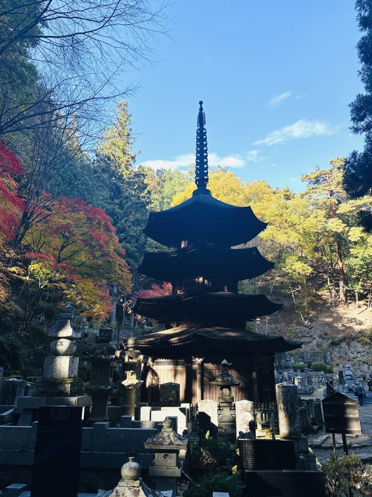 そうだ。別所温泉に行こう‼️ただいま　紅葉真っ盛りです メインイメージ画像