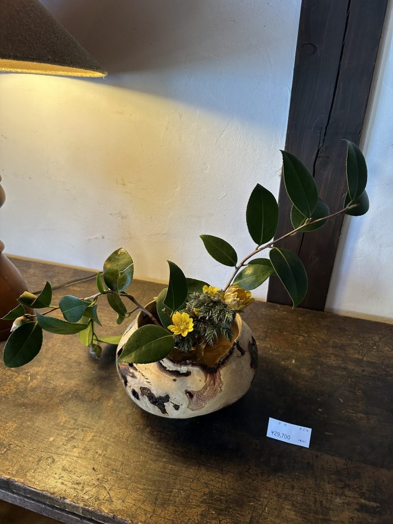 安藤萌さん　木の器展　山小路さん　坂城のステキなギャラリー メインイメージ画像