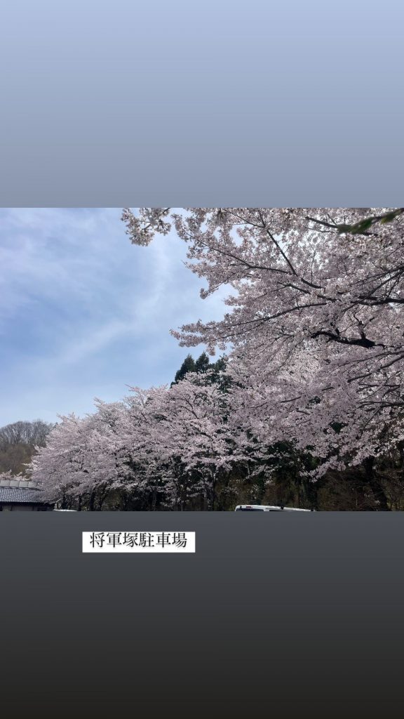 別所温泉只今桜🌸真っ盛りです！！ メインイメージ画像