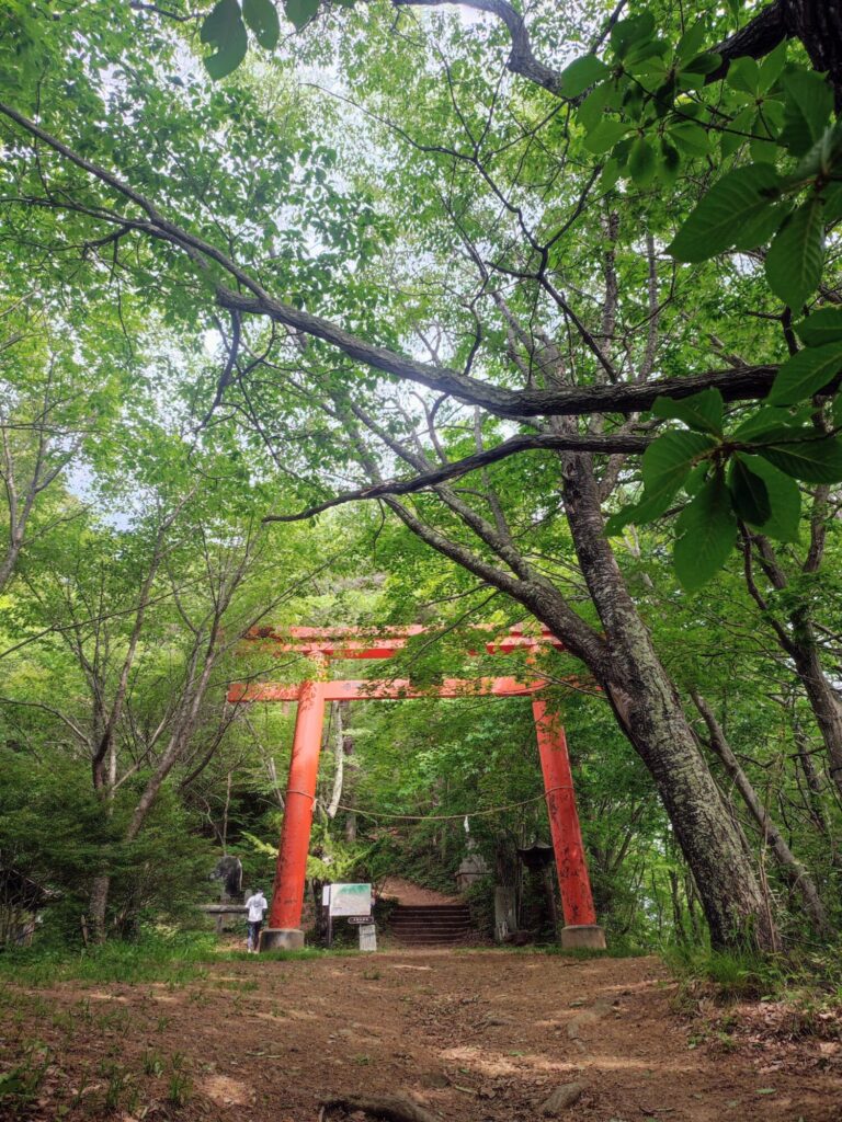 みちこの休日～今シーズン初の太郎山へ～ メインイメージ画像